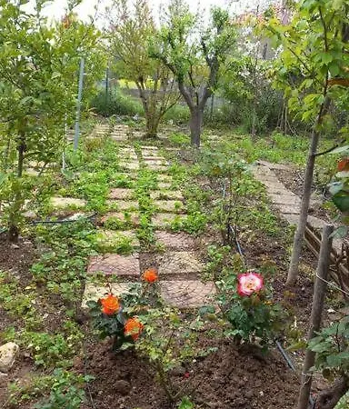 Saint Anna Country House. Feriehus Agia Anna (Evia)