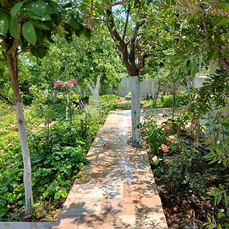 Saint Anna Country House.